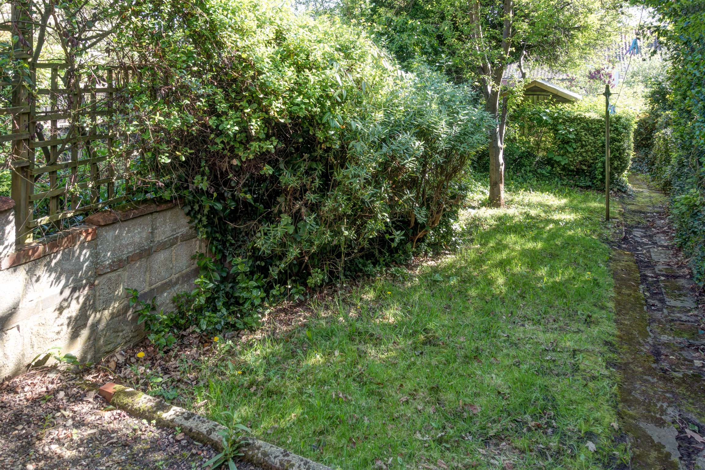 Garden with grass area and trees/hedges.