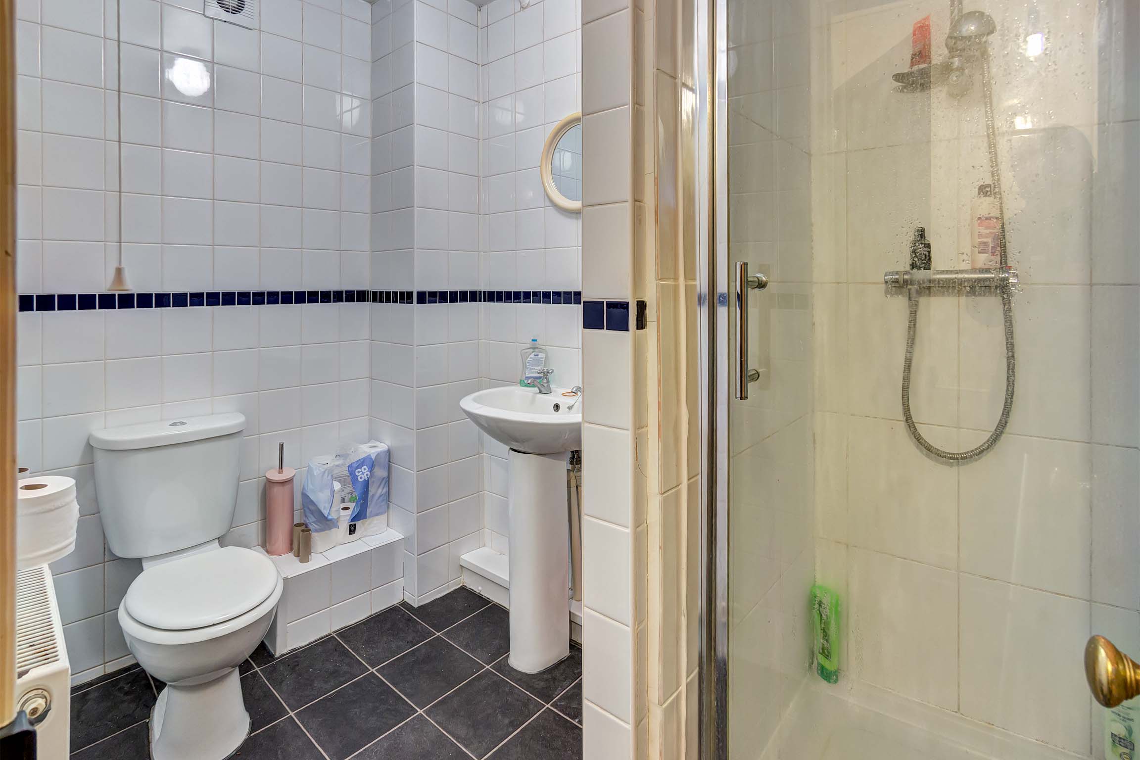 Bathroom with shower cubicle, toilet, and sink