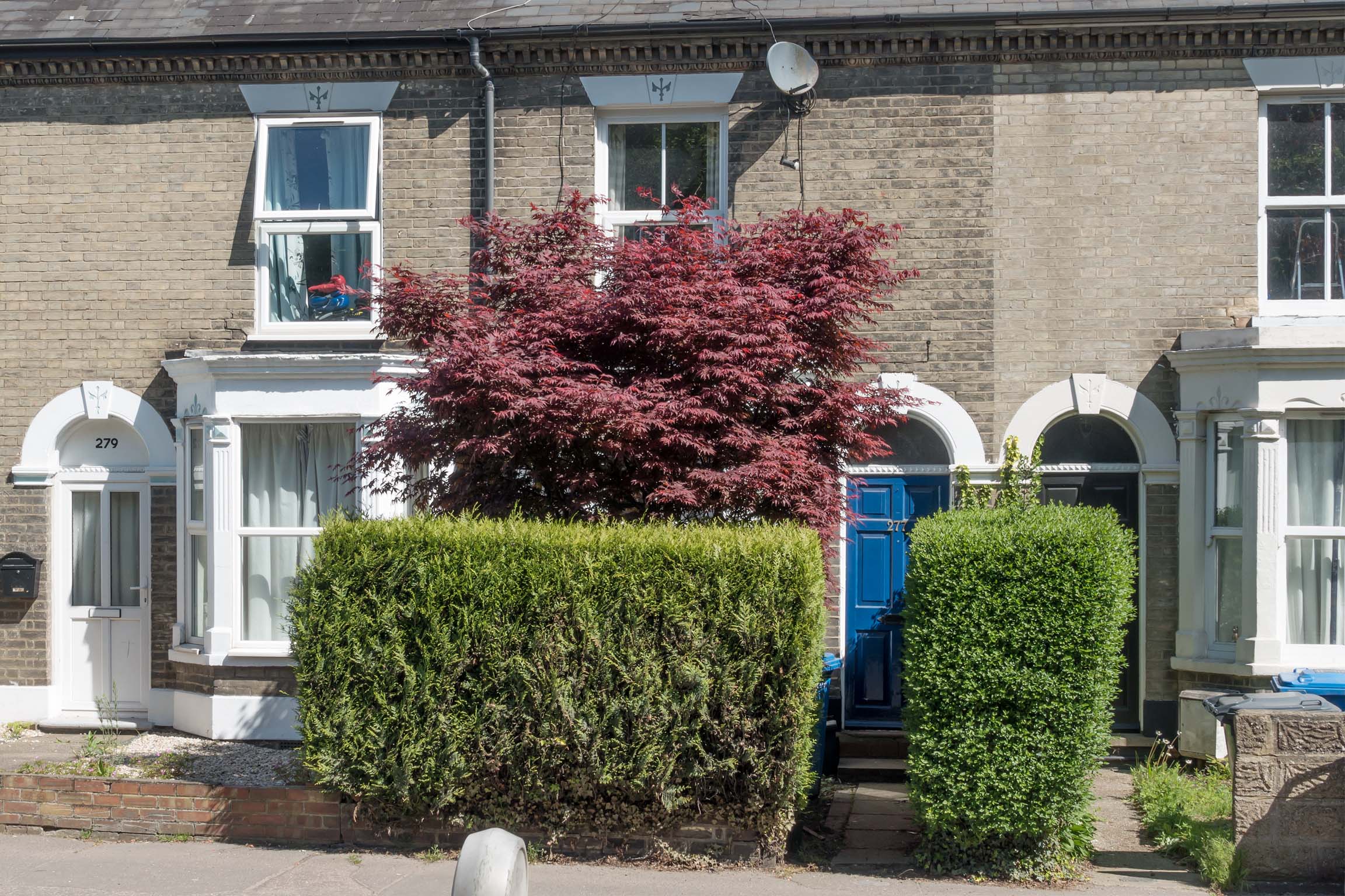 Grey brick terraced house with blue front door and hedges.