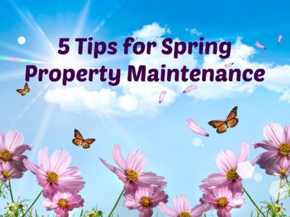Essential Spring Property Maintenance Tips