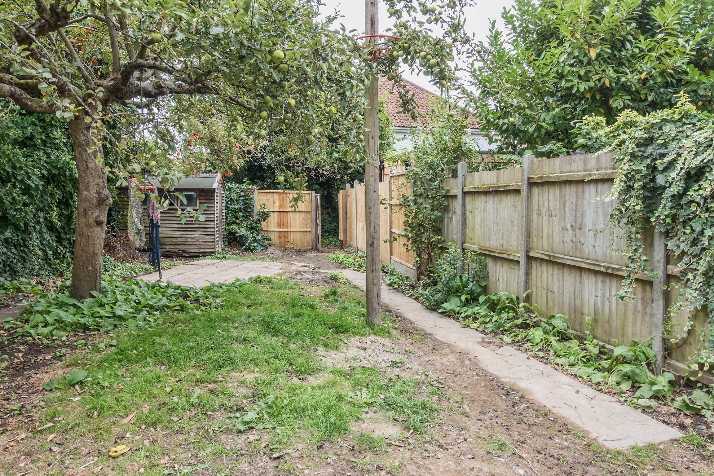 Back garden with lawn