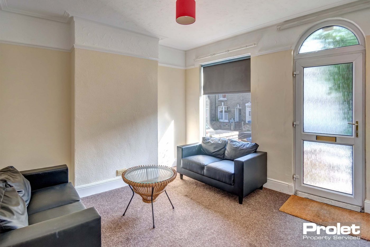 Living room with leather sofas