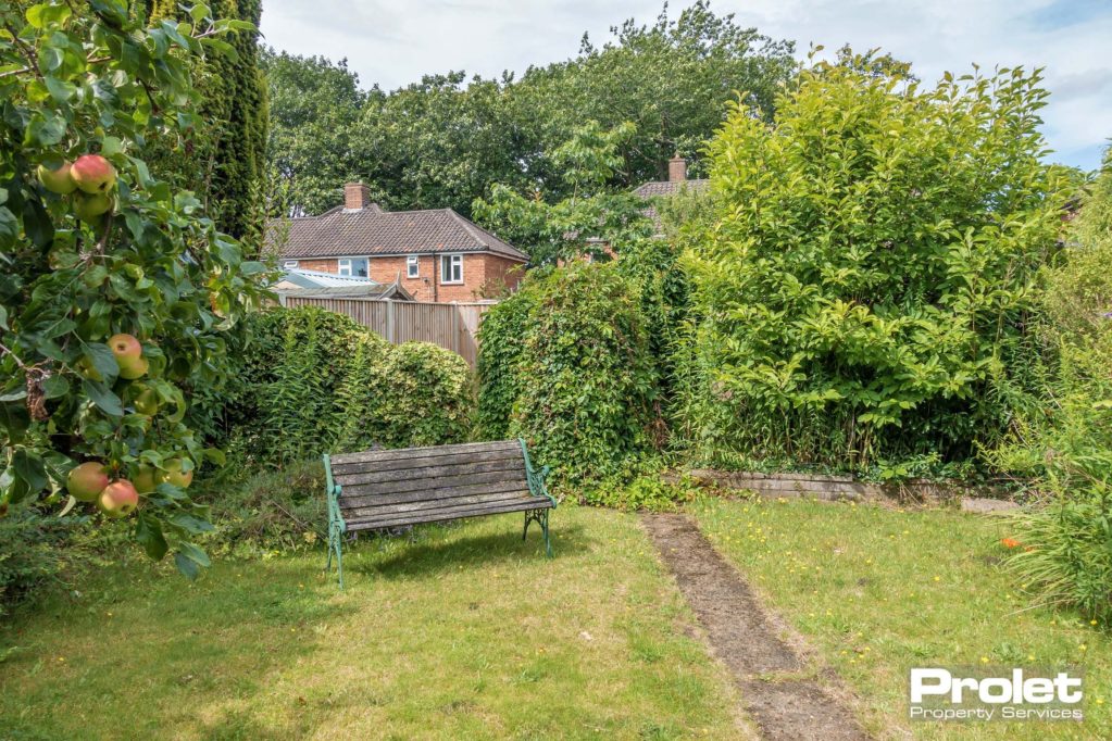 Rear garden with paved pathway and grass area with a wooden bench.